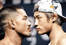 UFC 벨트 놓고 아시아 대전 : 네이트 스포츠