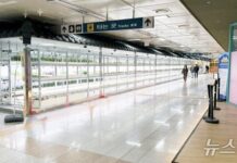 대전교통공사, 대전역 지하 유휴공간에 ‘도심형 스마트팜’ 개장 : 네이트 뉴스