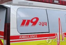 대전 초등학교 앞 가로수 들이받은 벤츠…운전자 사망